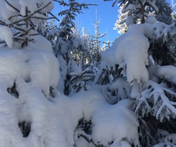 SCHNEESCHUHLAUFEN