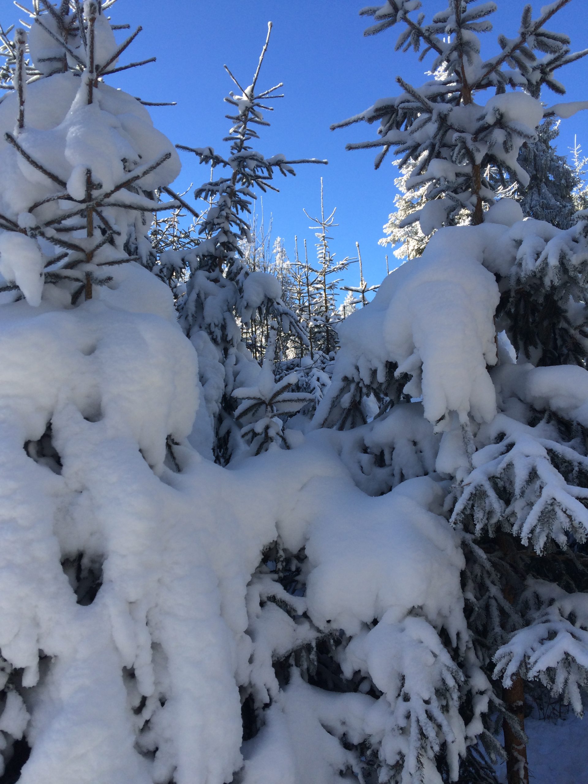 SCHNEESCHUHLAUFEN