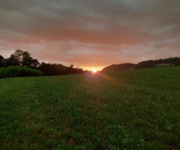 Abendwanderung 2024  / Impressionen